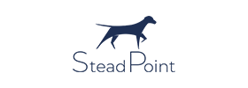 SteadPoint